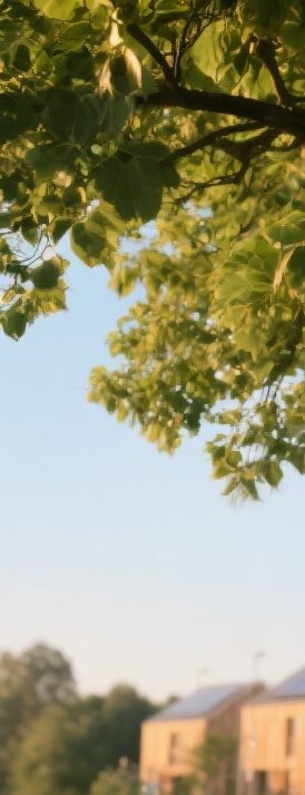 Arbre ville verte